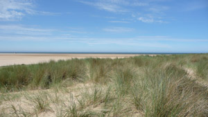 Natural Norfolk and Walks